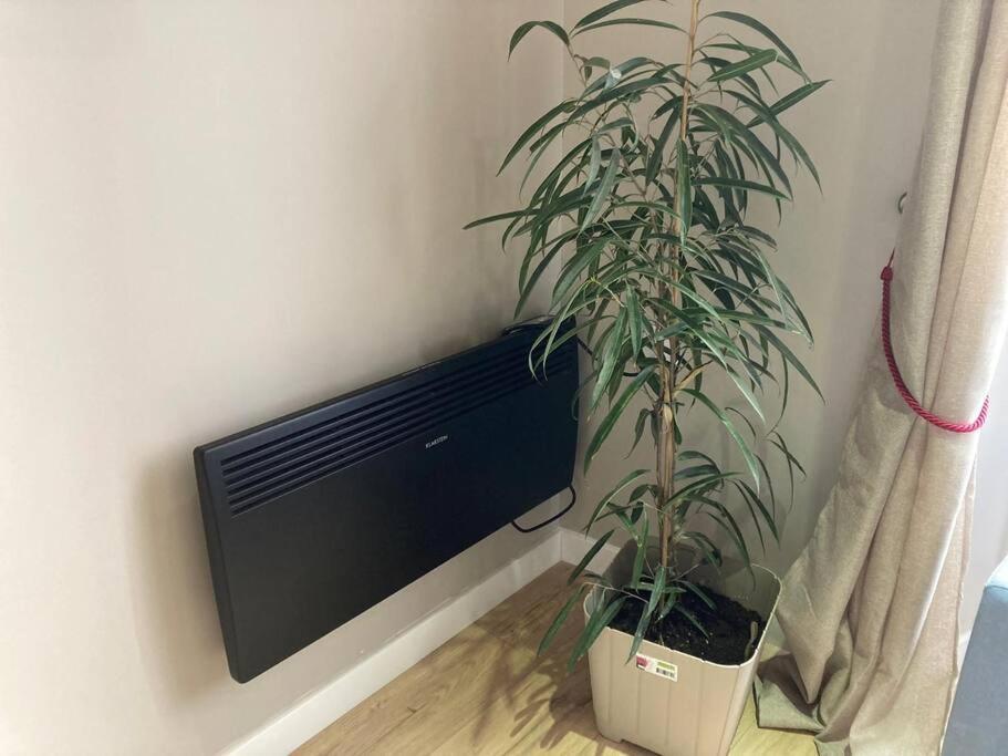 T 2 Calme&Douceur Apartment Tarbes Luaran gambar