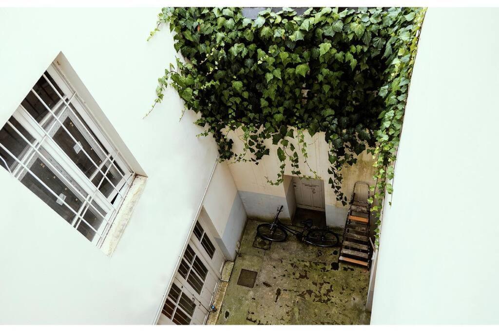 T 2 Calme&Douceur Apartment Tarbes Luaran gambar